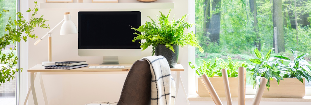 home office area by windows