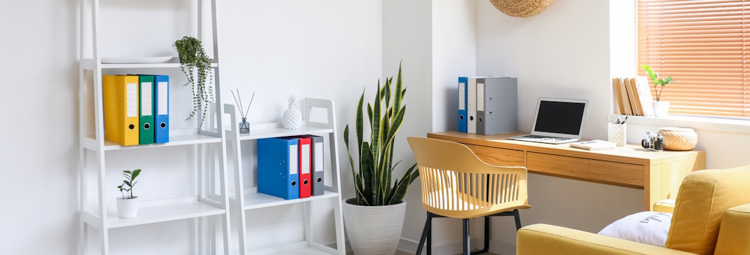 home office with shelves